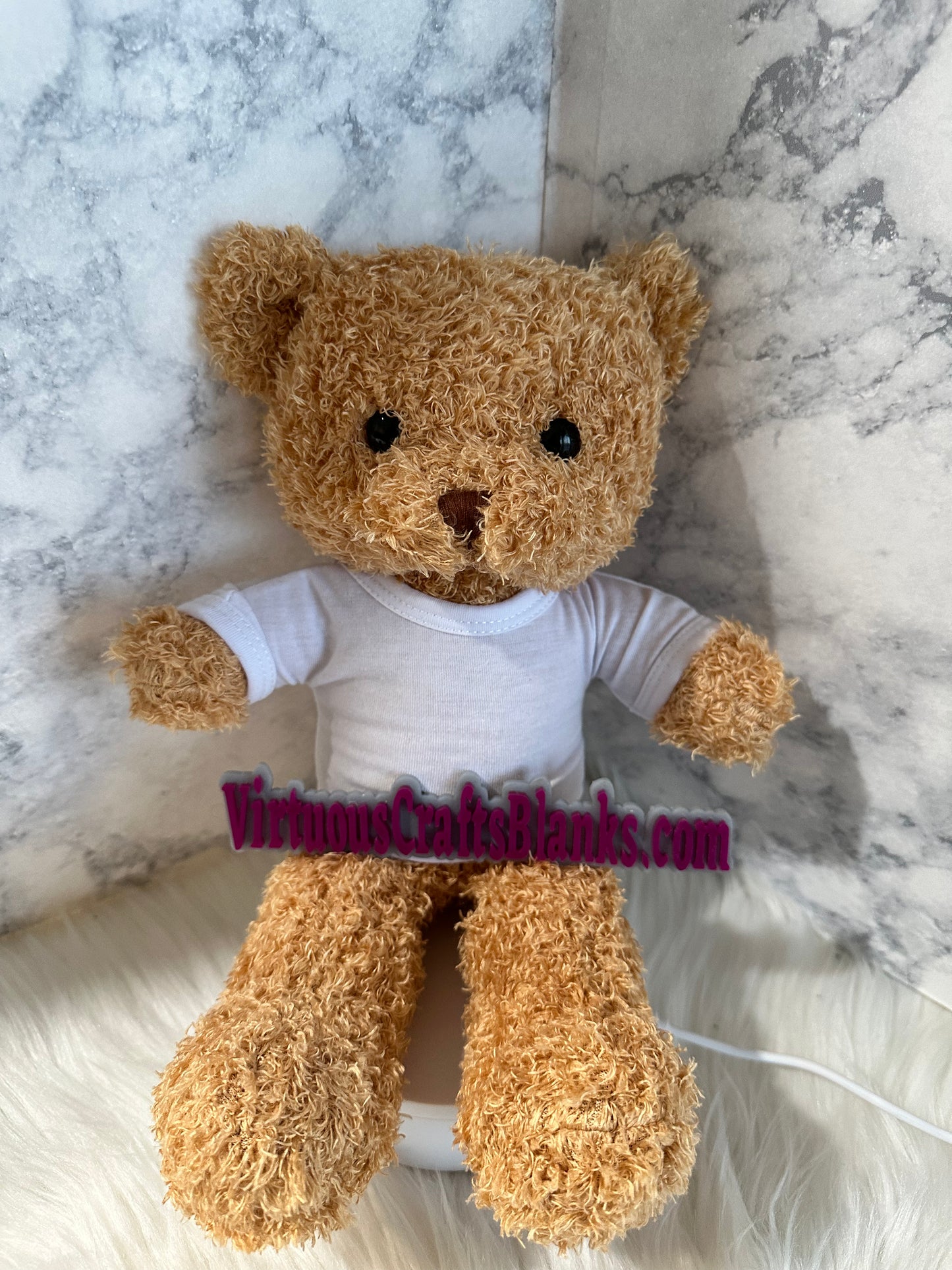 Teddy Bear with a sublimation t-shirt